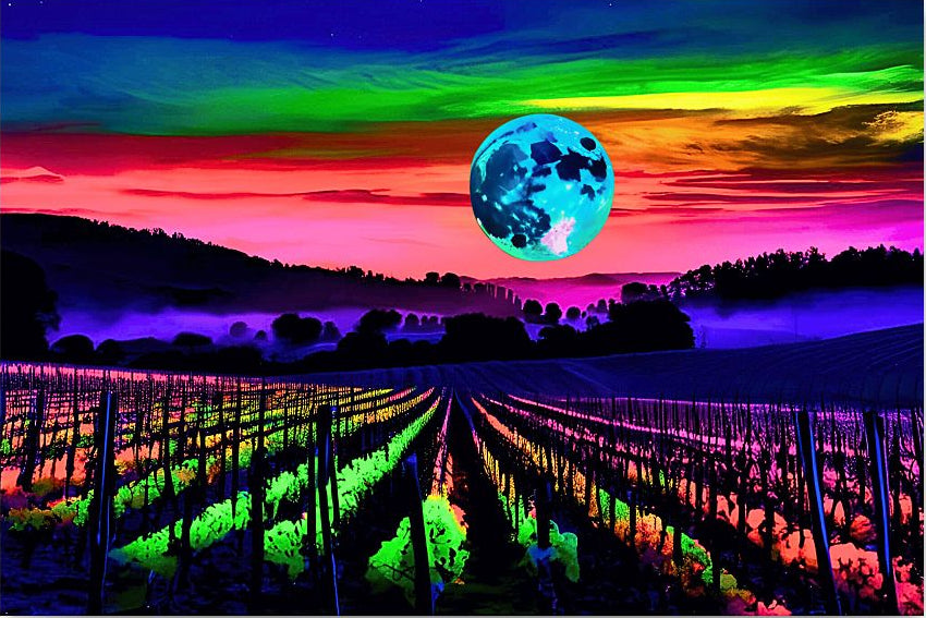 7969030900a0cdcecaeda26af31343ad957436effc8c2c2e3948b5b5868725c8