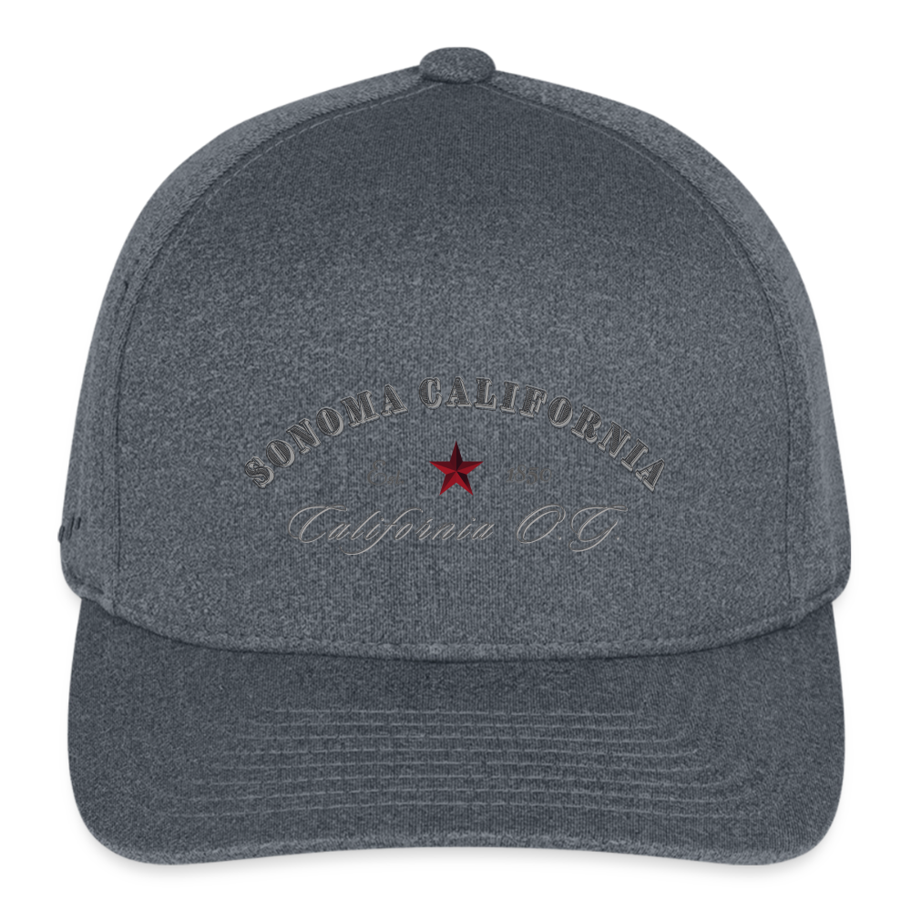 Sonoma California O.G. Flexfit  Baseball Cap - dark heather gray Main image