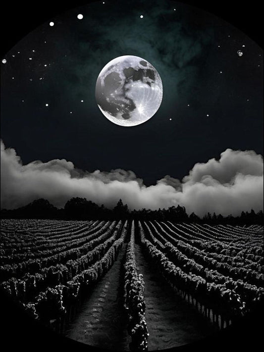 7b6aa4a371148567a4b9577067df3802152636b9057541ef733516ad0bdad65f