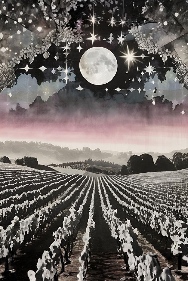 b9c7c4bfb2389a05526b0d3f3bba4bc780c9ab4ed3eff25e2b876005c5830719