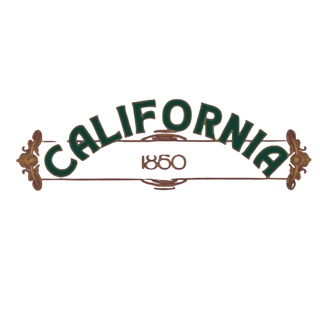 Sonoma Rebel CALIFORNIA POPPY Youth Hoodie with 1850 detail, green text on black background.
