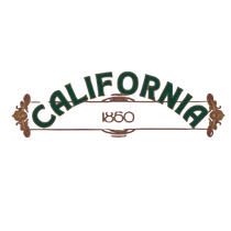 Sonoma Rebel CALIFORNIA POPPY Youth Hoodie with 1850 detail, green text on black background.