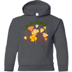 Sonoma Rebel dark grey youth hoodie with "CALIFORNIA" text and colorful poppy flower graphic.