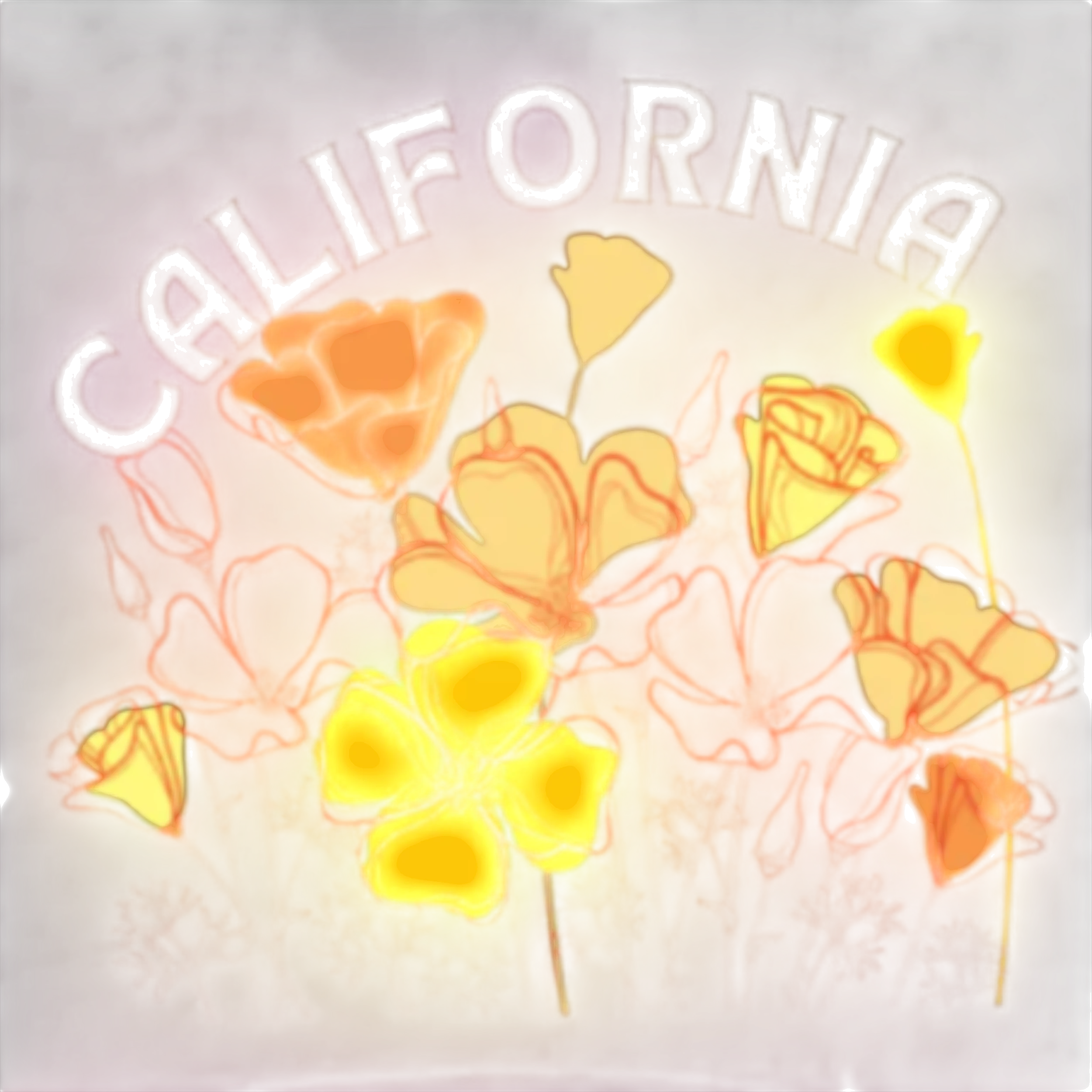 Sonoma Rebel CALIFORNIA POPPY Youth Hoodie with a graphic of poppies and "CALIFORNIA" text.
