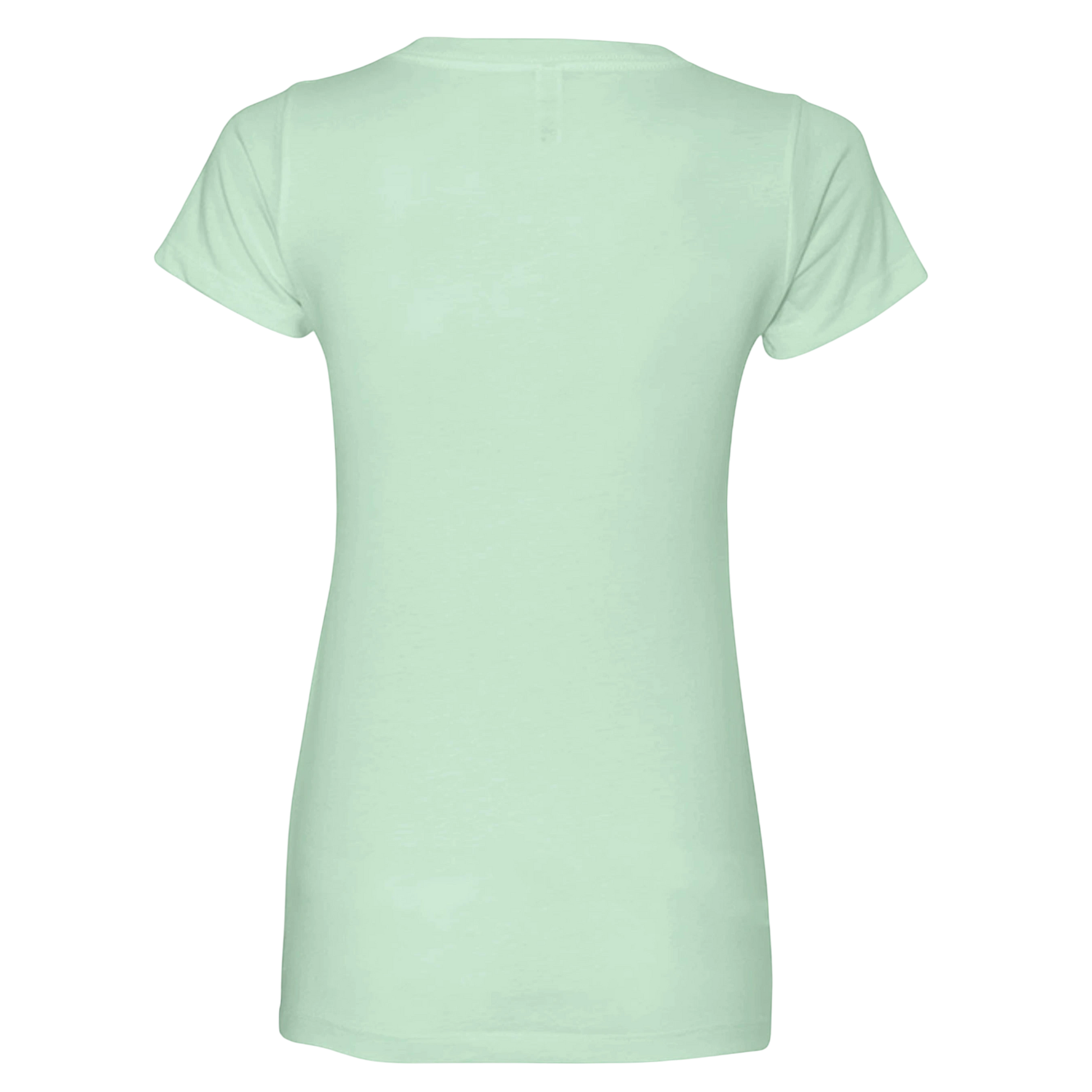 Sonoma Rebel light mint green crew neck t-shirt made from soft cotton with a flattering fit.