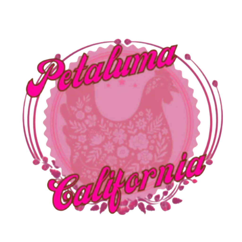 Sonoma Rebel Petaluma Chick toddler girl t-shirt in pink with floral chicken graphic and "Petaluma California" text.